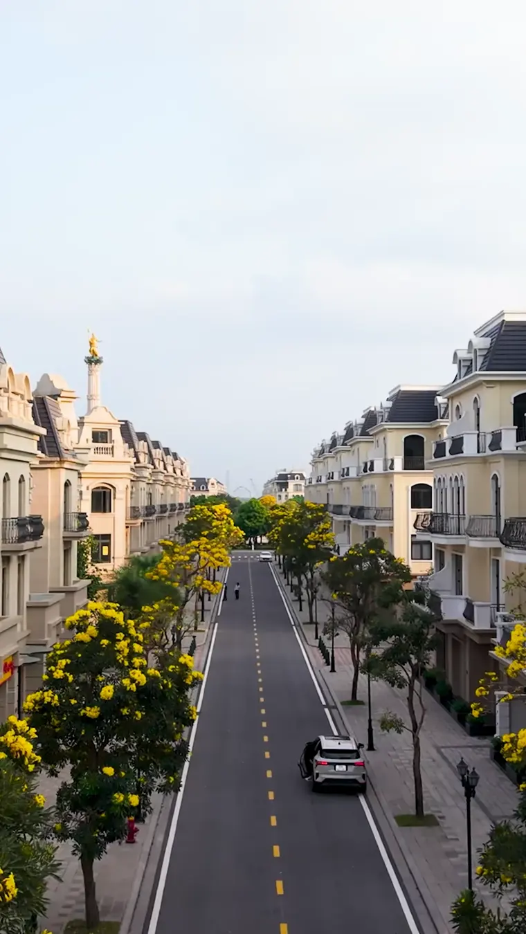 Đại lộ mùa hoa phong linh ở Vinhomes Ocean Park 2